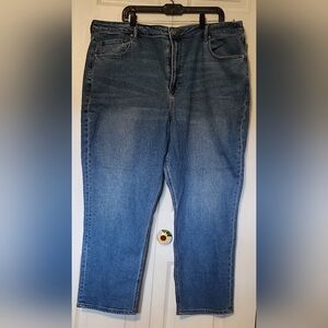 American Eagle Women's Size 22 Regular Stretch Jean Capri
